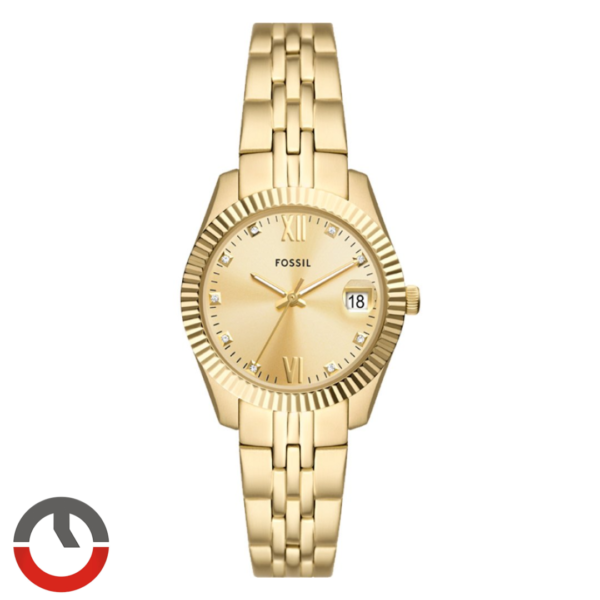 Relógio Fossil Feminino ES5338/1DN